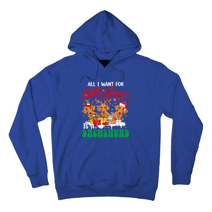 All I Want For Xmas Is A Dachshund Three Santa Reindeer Dogs Funny Gift Tall Hoodie