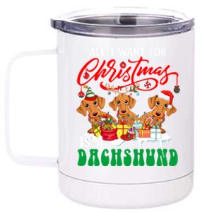 All I Want For Xmas Is A Dachshund Three Santa Reindeer Dogs Funny Gift 12 oz Stainless Steel Tumbler Cup