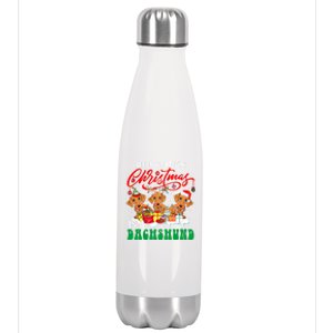 All I Want For Xmas Is A Dachshund Three Santa Reindeer Dogs Funny Gift Stainless Steel Insulated Water Bottle