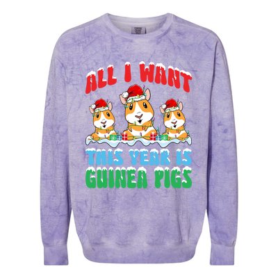 All I Want This Year Is Guinea Pig Wearing Christmas Hat Gift Colorblast Crewneck Sweatshirt