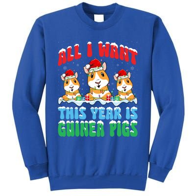 All I Want This Year Is Guinea Pig Wearing Christmas Hat Gift Tall Sweatshirt