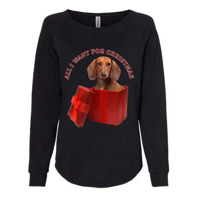 All I Want For Christmas Dachshund Funny Gift Womens California Wash Sweatshirt