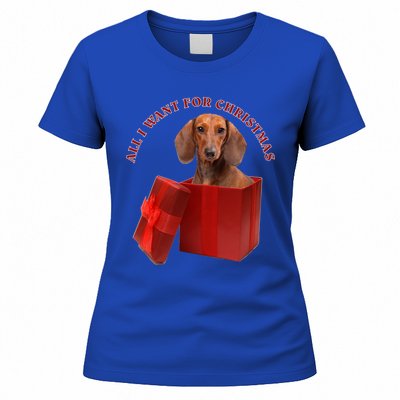 All I Want For Christmas Dachshund Funny Gift Women's T-Shirt