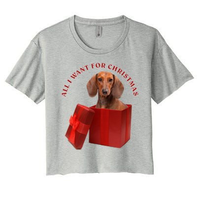 All I Want For Christmas Dachshund Funny Gift Women's Crop Top Tee