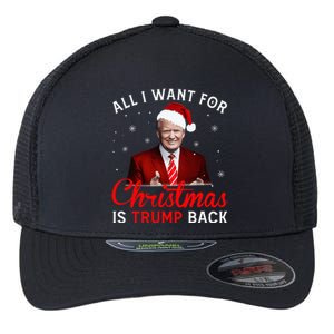 All I Want For Christmas Is Trump Back And New President  Flexfit Unipanel Trucker Cap