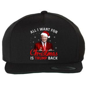 All I Want For Christmas Is Trump Back And New President  Wool Snapback Cap