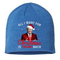 All I Want For Christmas Is Trump Back And New President  Sustainable Beanie