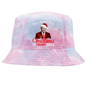 All I Want For Christmas Is Trump Back And New President  Tie-Dyed Bucket Hat