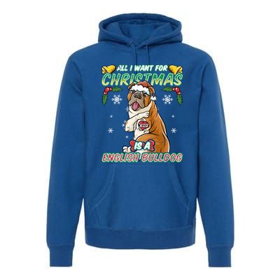 All I Want For Christmas Is A English Bulldog Santa Claus Meaningful Gift Premium Hoodie