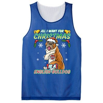 All I Want For Christmas Is A English Bulldog Santa Claus Meaningful Gift Mesh Reversible Basketball Jersey Tank