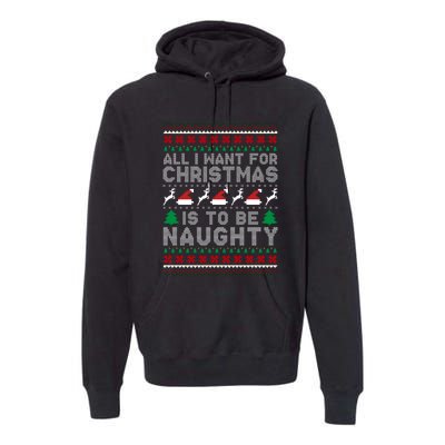 All I Want For Christmas Is To Be Naughty Premium Hoodie