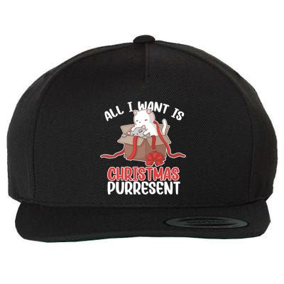 All I Want Is Christmas Purresent Kitten Cat Christmas Gift Wool Snapback Cap