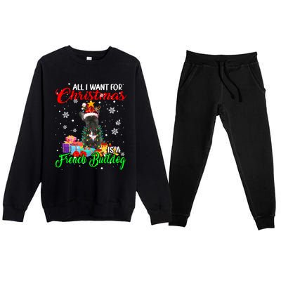 All I Want For Christmas Is A French Bulldog Santa Reindeer Gift Premium Crewneck Sweatsuit Set