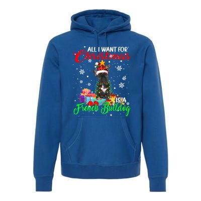 All I Want For Christmas Is A French Bulldog Santa Reindeer Gift Premium Hoodie