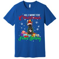 All I Want For Christmas Is A French Bulldog Santa Reindeer Gift Premium T-Shirt