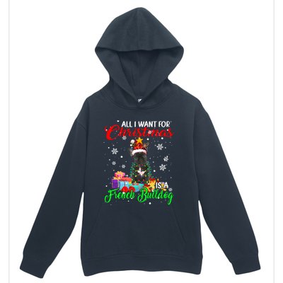 All I Want For Christmas Is A French Bulldog Santa Reindeer Gift Urban Pullover Hoodie