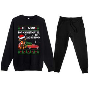 All I Want For Christmas Is Dachshund Ugly Christmas Sweater Gift Premium Crewneck Sweatsuit Set