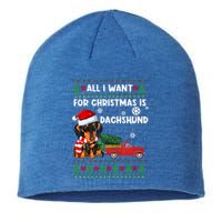 All I Want For Christmas Is Dachshund Ugly Christmas Sweater Gift Sustainable Beanie