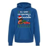 All I Want For Christmas Is Dachshund Ugly Christmas Sweater Gift Premium Hoodie