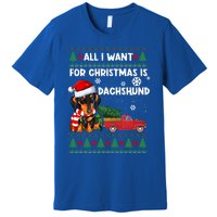 All I Want For Christmas Is Dachshund Ugly Christmas Sweater Gift Premium T-Shirt