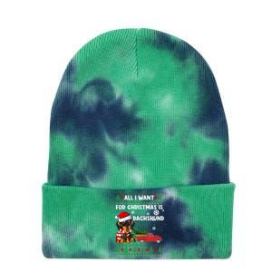 All I Want For Christmas Is Dachshund Ugly Christmas Sweater Gift Tie Dye 12in Knit Beanie