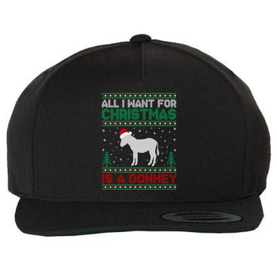 All I Want For Xmas Is A Donkey Ugly Christmas Sweater Gift Wool Snapback Cap