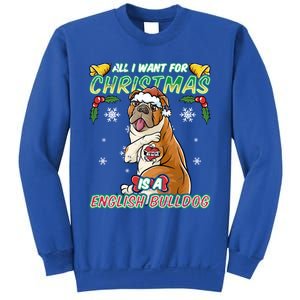 All I Want For Christmas Is A English Bulldog Santa Claus Cute Gift Sweatshirt