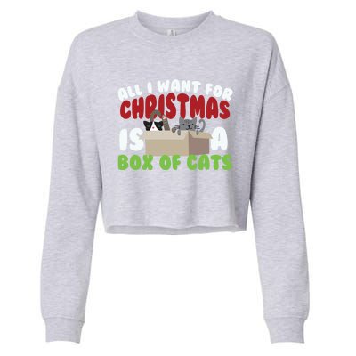 All I Want For Christmas Is A Box Of Cats Gift Cropped Pullover Crew