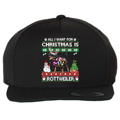 All I Want For Christmas Is Rottweiler Dog Xmas Funny Gift Wool Snapback Cap