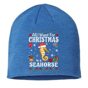 All I Want For Christmas Is A Seahorse Ugly Sweater Xmas Gift Sustainable Beanie