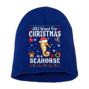 All I Want For Christmas Is A Seahorse Ugly Sweater Xmas Gift Short Acrylic Beanie