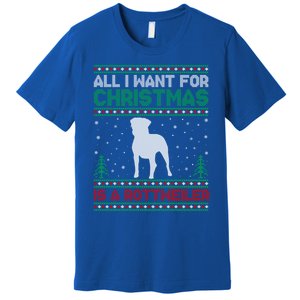 All I Want For Xmas Is A Rottweiler Dog Ugly Xmas Sweater Cute Gift Premium T-Shirt