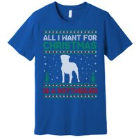 All I Want For Xmas Is A Rottweiler Dog Ugly Xmas Sweater Cute Gift Premium T-Shirt