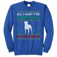 All I Want For Xmas Is A Rottweiler Dog Ugly Xmas Sweater Cute Gift Tall Sweatshirt