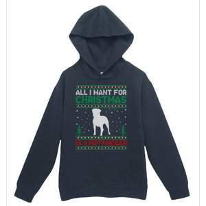 All I Want For Xmas Is A Rottweiler Dog Ugly Xmas Sweater Cute Gift Urban Pullover Hoodie