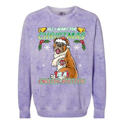 All I Want For Christmas Is A English Bulldog Santa Claus Gift Colorblast Crewneck Sweatshirt