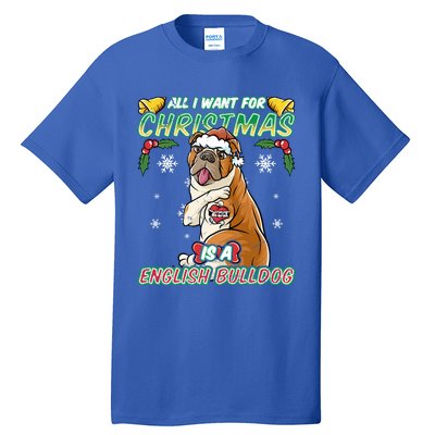 All I Want For Christmas Is A English Bulldog Santa Claus Gift Tall T-Shirt