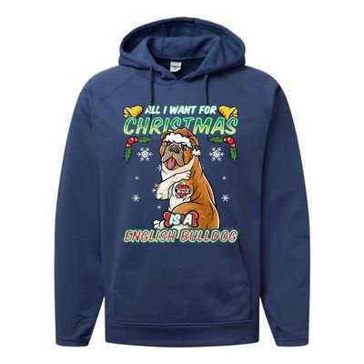 All I Want For Christmas Is A English Bulldog Santa Claus Gift Performance Fleece Hoodie