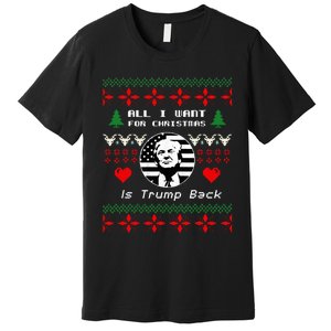 All I Want For Christmas Is Trump Back And New President Premium T-Shirt