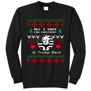 All I Want For Christmas Is Trump Back And New President Tall Sweatshirt