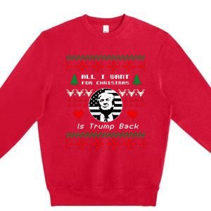 All I Want For Christmas Is Trump Back And New President Premium Crewneck Sweatshirt