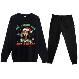 All I Want For Christmas Xmas Funny Gift For Dachshund Lovers Gift Premium Crewneck Sweatsuit Set