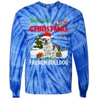 All I Want For Christmas Is A French Bulldog Family Pajamas Gift Tie-Dye Long Sleeve Shirt