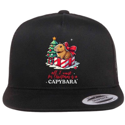 All I Want For Christmas Is A Capybara Cute Capybara Flat Bill Trucker Hat