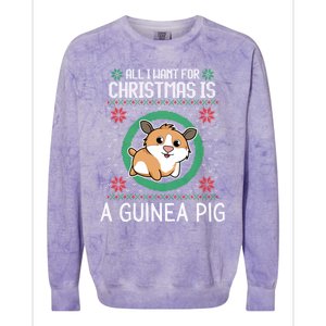 All I Want For Christmas Is A Guinea Pig Funny Xmas Sweater Gift Colorblast Crewneck Sweatshirt