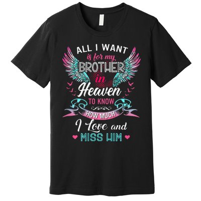 All I Want Is For My Brother In Heaven Angel Wings Love Him Premium T-Shirt