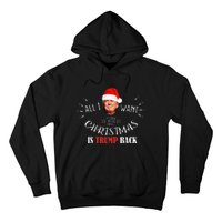 All I Want For Christmas Is Trump Back And New President Hoodie