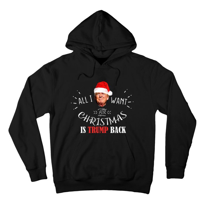 All I Want For Christmas Is Trump Back And New President Hoodie