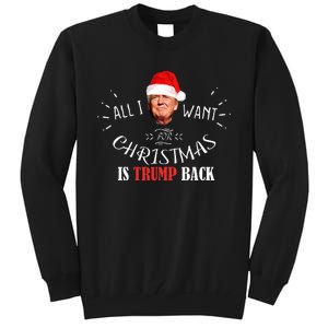 All I Want For Christmas Is Trump Back And New President Tall Sweatshirt