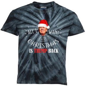 All I Want For Christmas Is Trump Back And New President Kids Tie-Dye T-Shirt